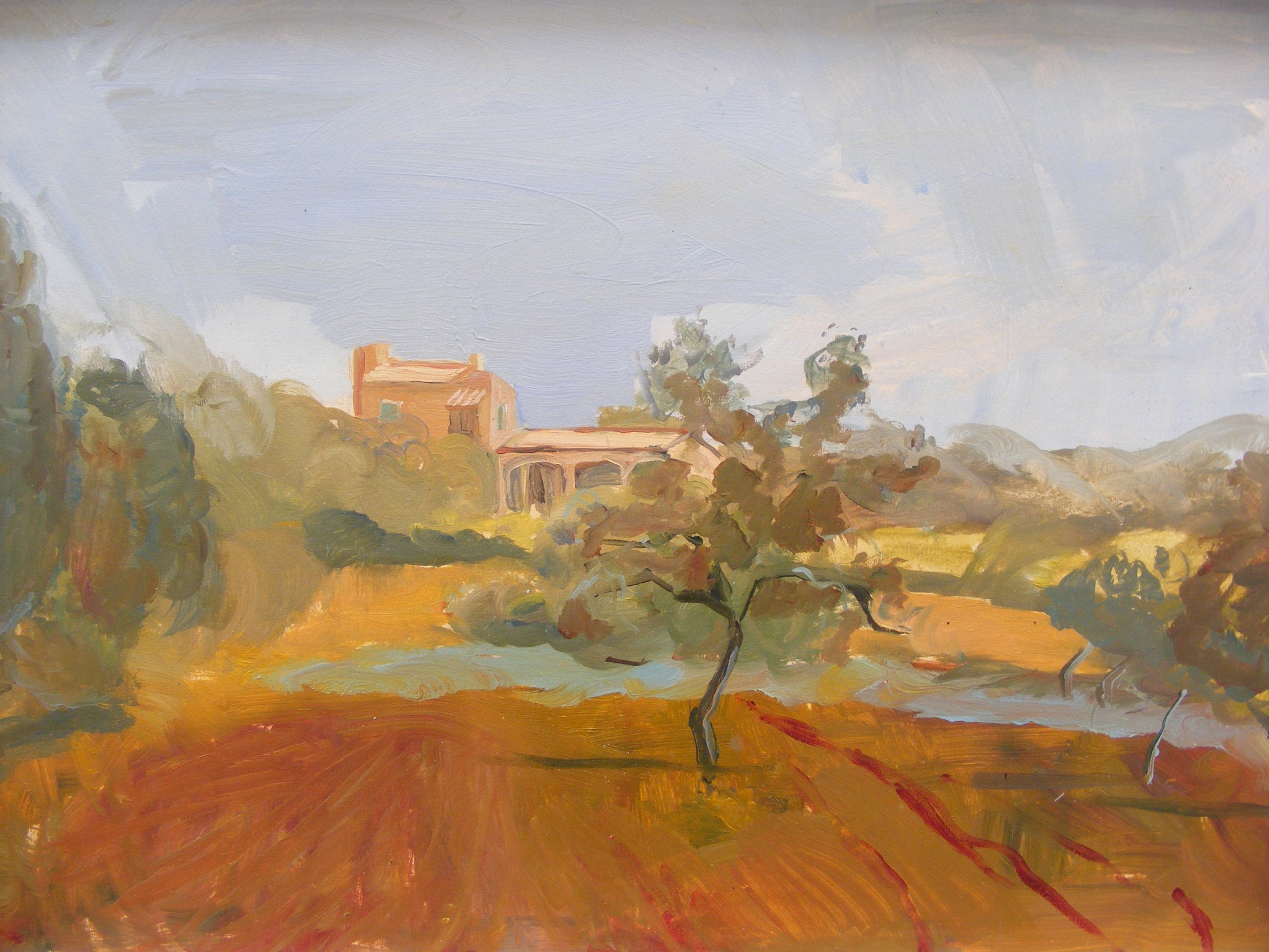 Mallora Olive Grove thumb